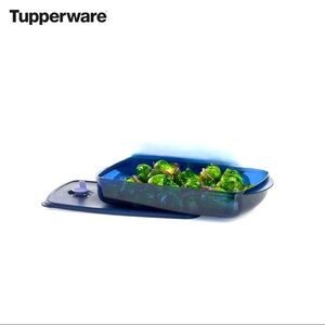 New Tupperware Large Shallow Vent 'N Serve Container